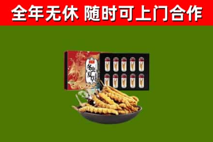 迎江烟酒回收冬虫夏草礼盒.jpg